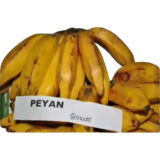 PEYAN BANANA